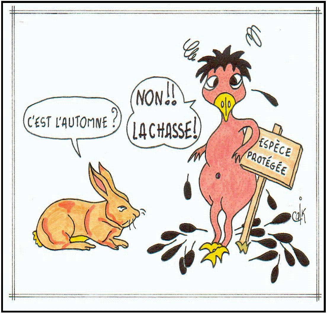 ouverurechasse1.jpg